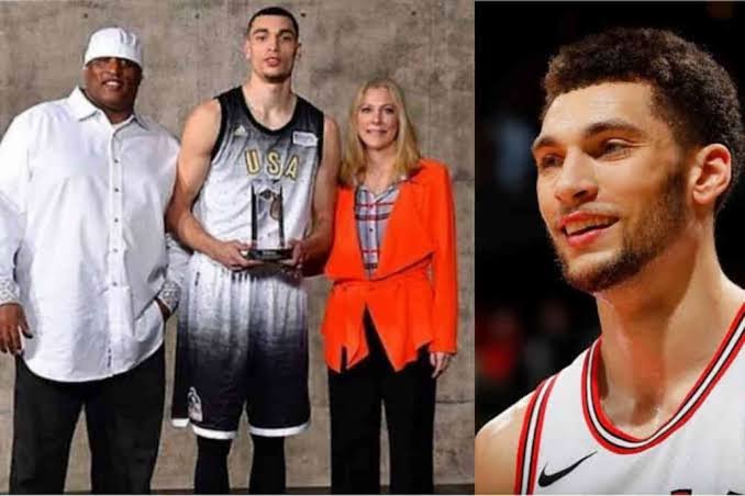 paul lavine