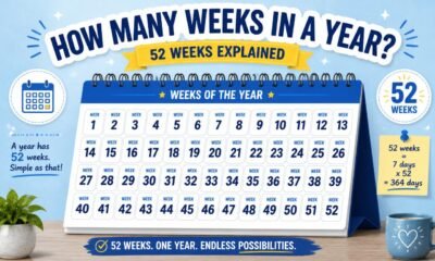 how many weeks in a year